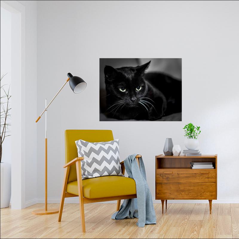 Siyah Kedi Kanvas Tablo-1413